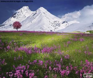 yapboz Alplerin güzel sahne